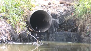 Acumar debe velar por el