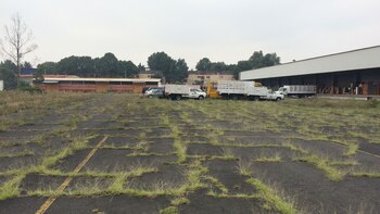 (The New York Times)