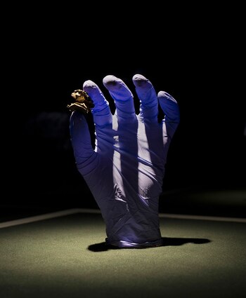 La joya de la muestra