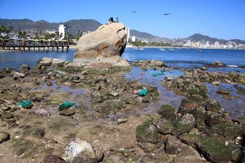 El fondo marino era observable