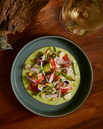 Su propuesta emerge de sus