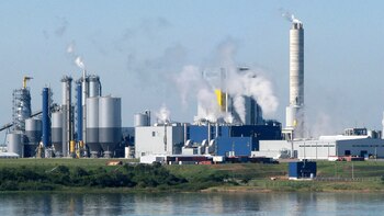 La primera pastera de UPM