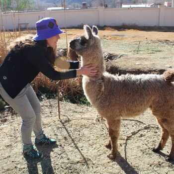 Arnolfo amaba viajar dentro del