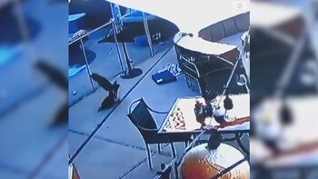 (Foto: Captura de pantalla)