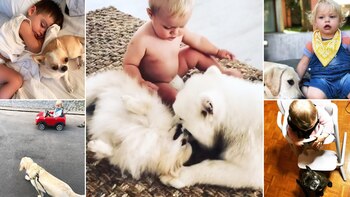 Valentín Prada, Mirko, Dionisio Mendoza