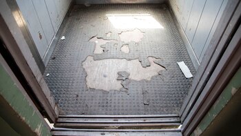 Entre los ruidos, la suciedad,