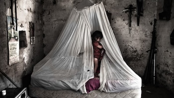 Proyecto “La casa que sangra”