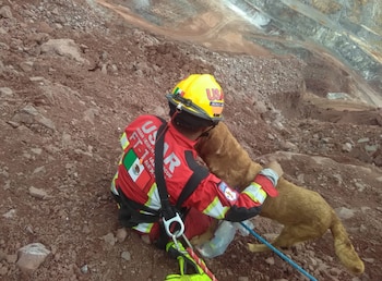 La habilidad, la disciplina y