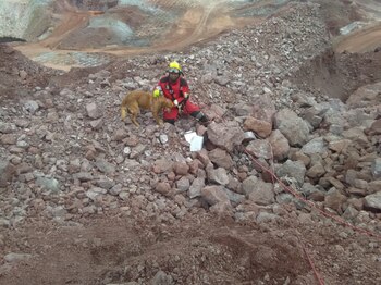 Puppy durante un operativo de