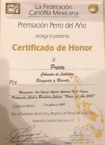 El diploma reconoce la contribución