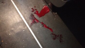 Los colectivos causaron destrozos (@AsambleaVE)