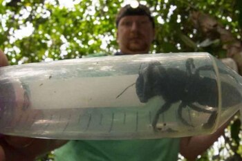 (Foto: Twitter/sandra_ov)