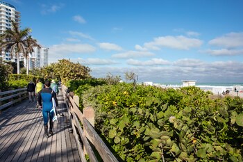 El malecón de Miami Beach