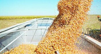 El presupuesto de sector agroalimentario