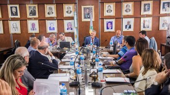 Los representantes de las cámaras