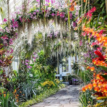 El New York Botanical Garden