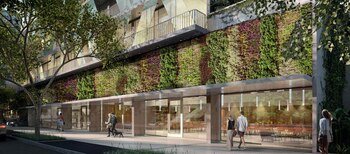 Para el segmento etario 25-36