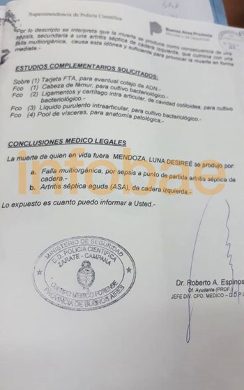 Las conclusiones del médico responsable