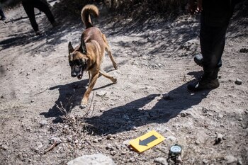 La policía federal se acompaña