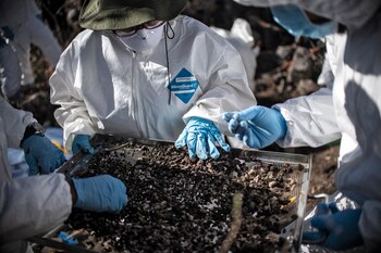 Personal forense revisa tierra para