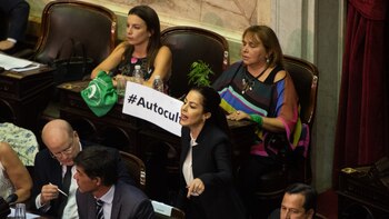 La diputada Araceli Ferreyra ingresó con una planta de cannabis al recinto