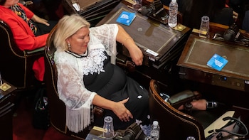Elisa Carrió