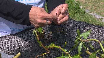 La acción conjunta entre profesionales,