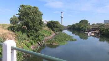 Gracias a las tareas realizadas,