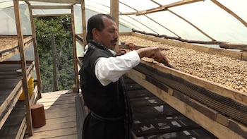 Los indígenas Inga fueron el primer caso de éxito del programa de sustitución voluntario de cultivos ilícitos en el país. (Foto cortesía Hernando Chindoy)