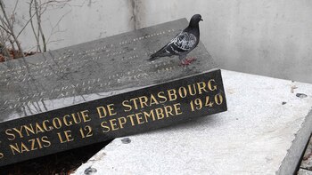 (Photo by FREDERICK FLORIN /