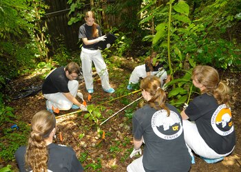 Futuros científicos forenses estudiando en