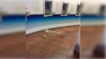 El inusual suceso se presentó