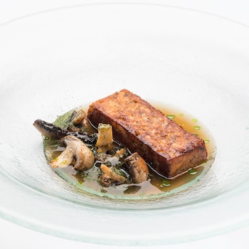 Compresión de Yacaré misionero del