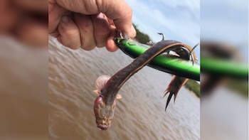 Algunas personas compararon su aspecto