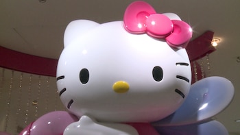 El Sr. Flynn comenzó su