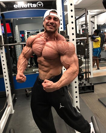 Se sumergió en la disciplina