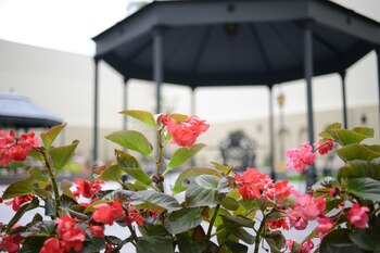 El lugar cuenta con un