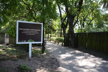 La entrada es libre y