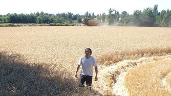 Isrrael en el campo, donde