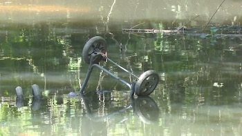 En el Reconquista pueden observarse