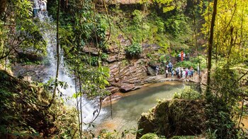 Un tour por los paraísos