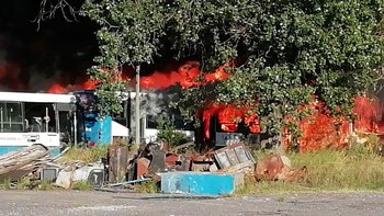 Los colectivos estaban fuera de