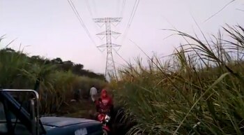 La Comisión Federal de Electricidad