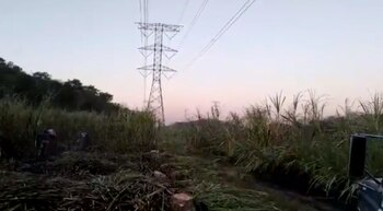 La Península de Yucatán padeció