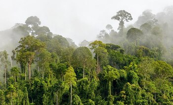 (Foto: Shutterstock)