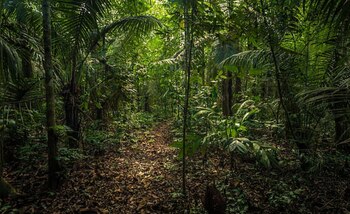 (Foto: Shutterstock)