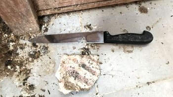 El arma blanca del terrorista