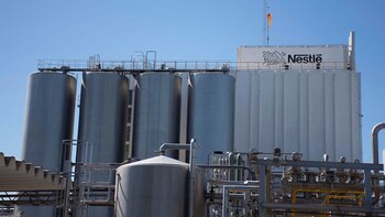 Una de las plantas locales