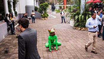 La vida silvestre costarricense fue