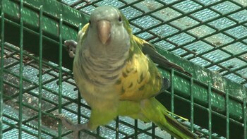 En este lugar se reciben